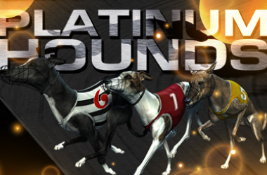 Platinum Hounds